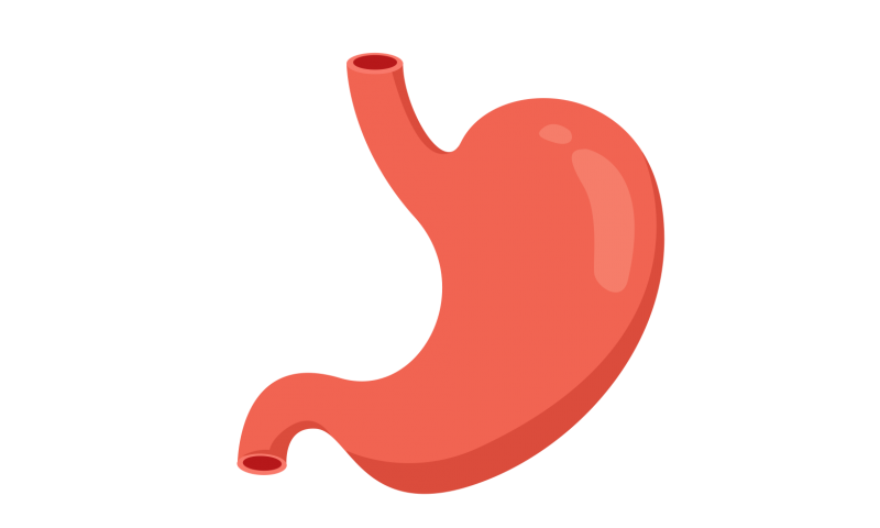 仲景名医对话 | 肠胃功能紊乱时的主要表现都有哪些？