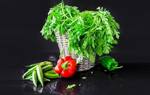 摄图网_500075704_banner.jpg