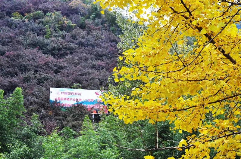 微信图片_20201230093536.jpg