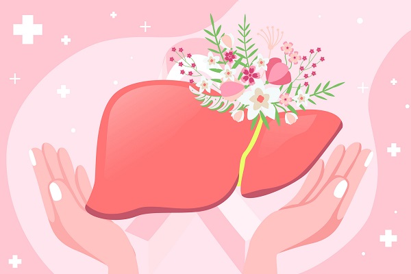 摄图网_402142225_banner_全国爱肝日双手捧着肝部（企业商用）.jpg