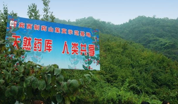药材基地-修改尺寸.jpg