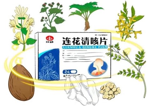 图片445.jpg