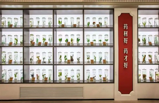 西峡展厅.jpg