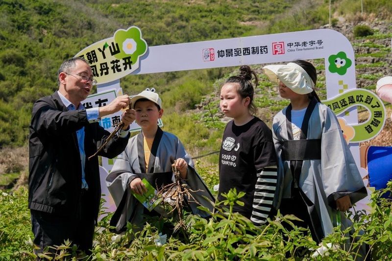 图片7.jpg