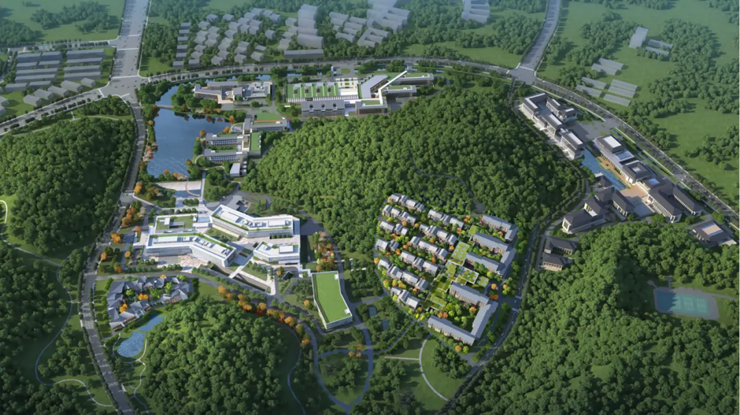 1762494544203538.png 图片1.png