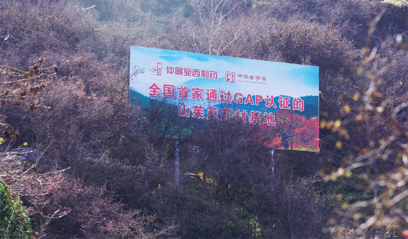 1764730857375725.png 图片5.png