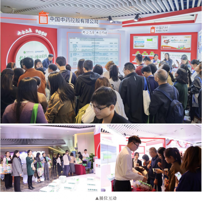 1765271233803402.png 5.png