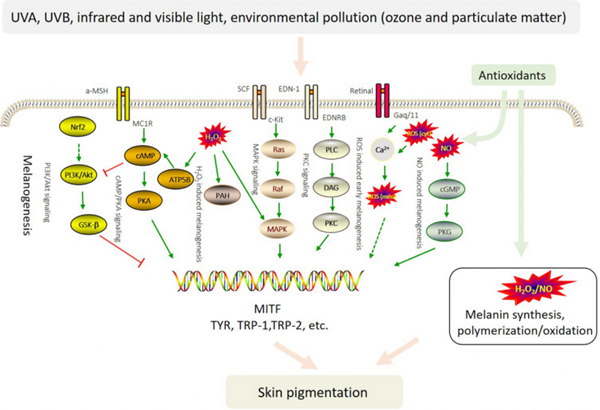 1772089153359355.png 202602091222391147518377.png