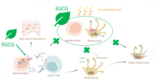 1772089163761505.png 20260209122240979797596.png