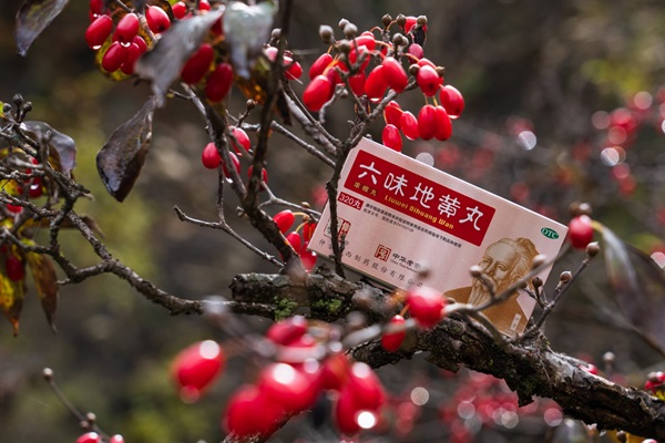 图片8.jpg