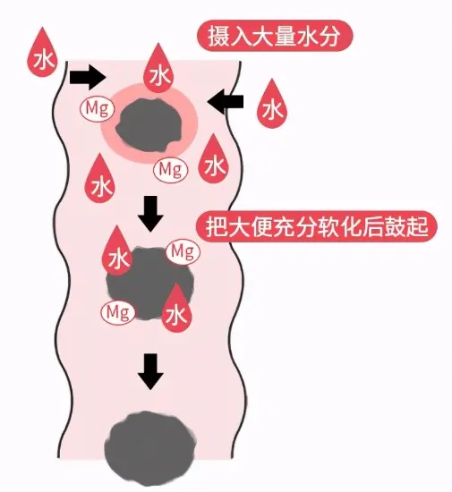 1786106243257540.jpg 3.jpg