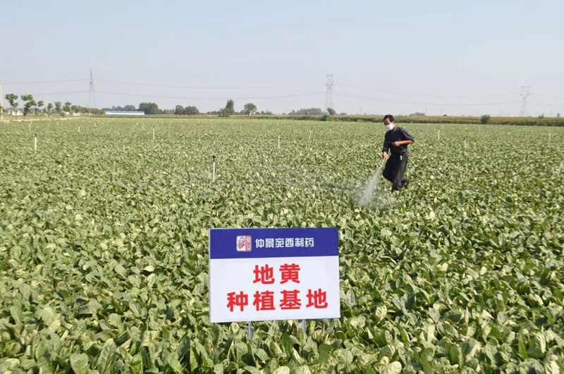 1787122290323557.png 图片8.png