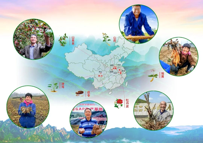 1787209557890580.png 图片2.png