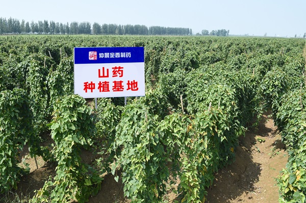 1788143060827994.jpg 微信图片_20260818172822_475_27.jpg