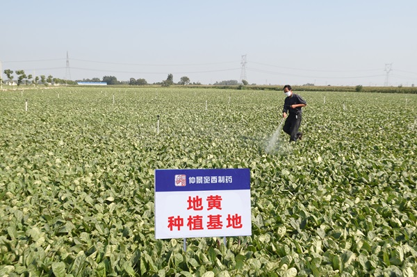 1788143169401343.jpg 微信图片_20260818172828_476_27.jpg