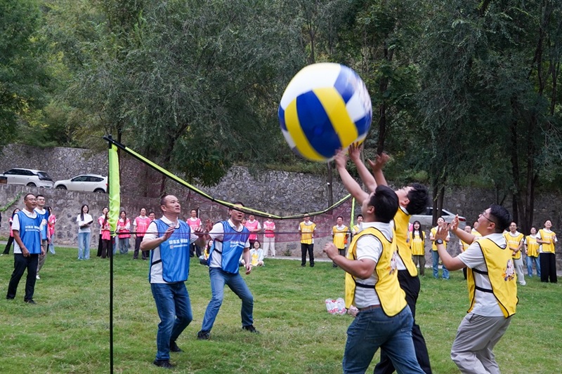 DSC08374.jpg