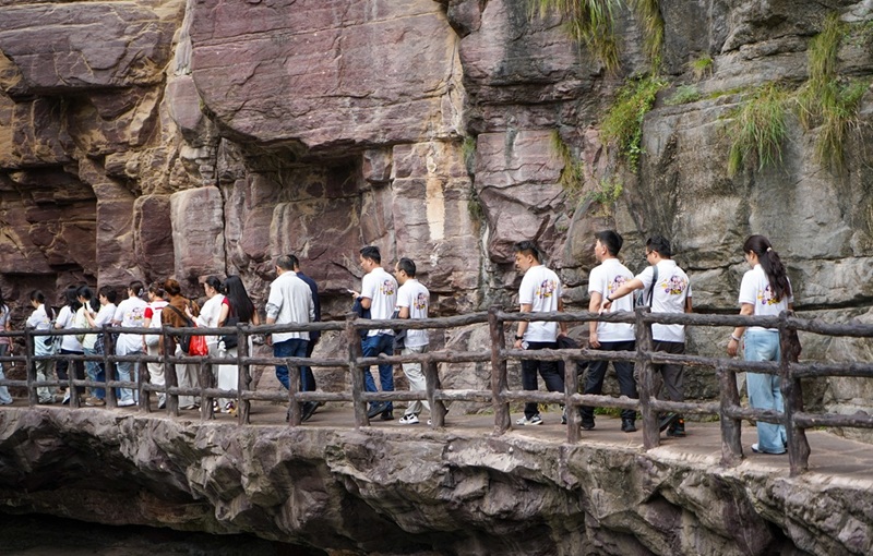 DSC08075.jpg