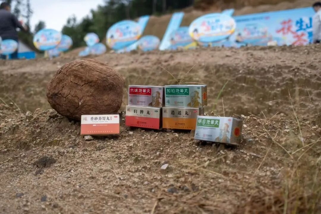 仲景采摘季I一味好药始于土地，在古法炮制与现代科技中蜕变