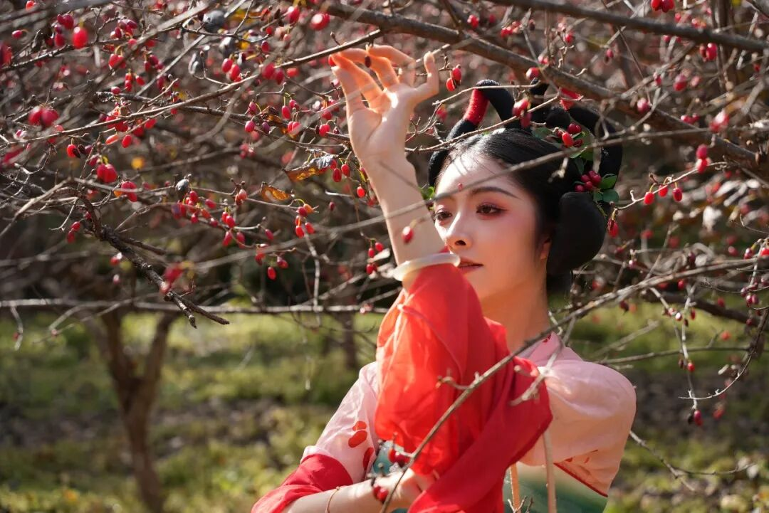 最是茱萸红满山！用一抹“红”开启2025仲景采摘季