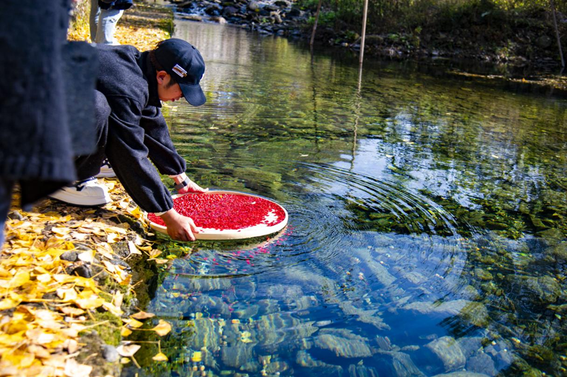 仲景宛西制药“药材好药才好”的品质承诺，不止伏牛好山水