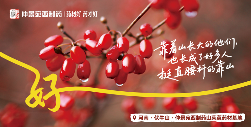 十分匠心，一份守候：看仲景六味地黄丸如何从源头“养”出好品质