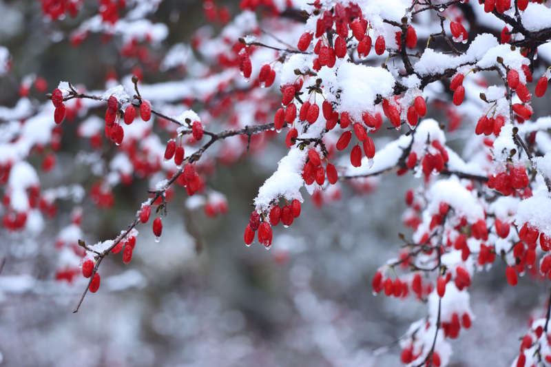 冬天补肾三注意：一辨、二用、三调理！别让“瞎补”伤了肾