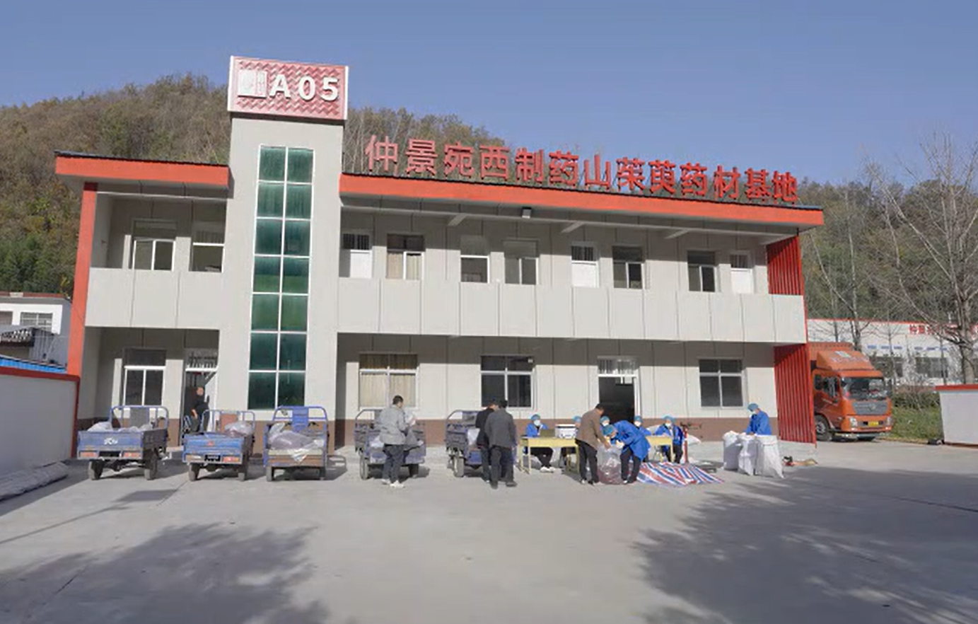 仲景宛西制药六味地黄丸六种药材全部通过GAP延伸检查