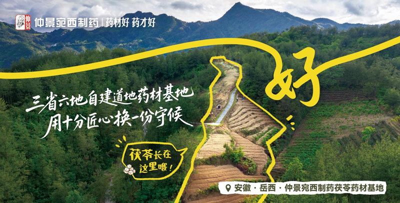 春日养生：揭秘“逍遥丸”为何成为历代医家公认的调肝名方