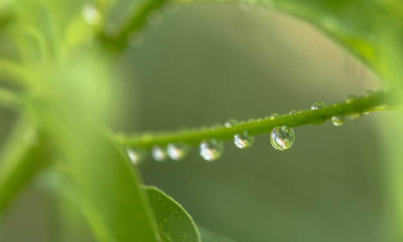 今日雨水，春回大地，天气变暖，这些养生要点需注意~