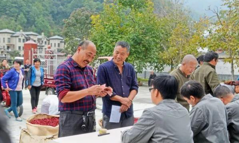 规范化管理山茱萸产业，助推地方经济发展