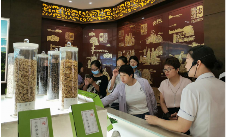 仲景文化探源｜山东、甘肃、河南安阳多家连锁精英代表走进仲景宛西制药