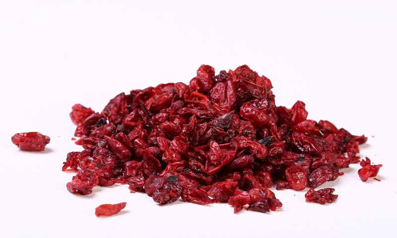 育中医之心，扬仲景文化