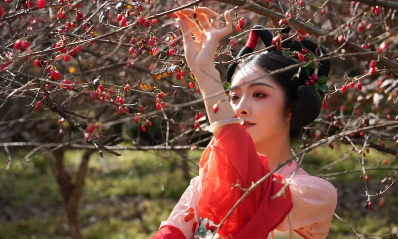 最是茱萸红满山！用一抹“红”开启2025仲景采摘季