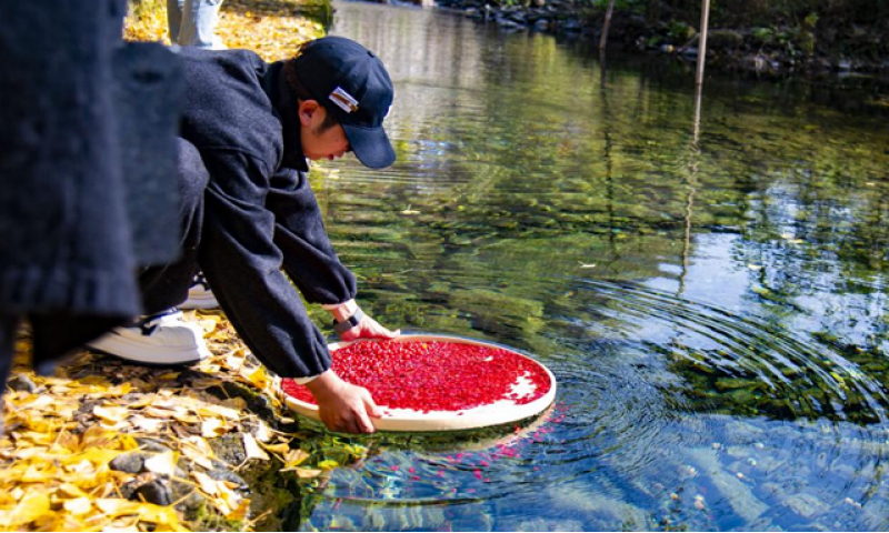 仲景宛西制药“药材好药才好”的品质承诺，不止伏牛好山水