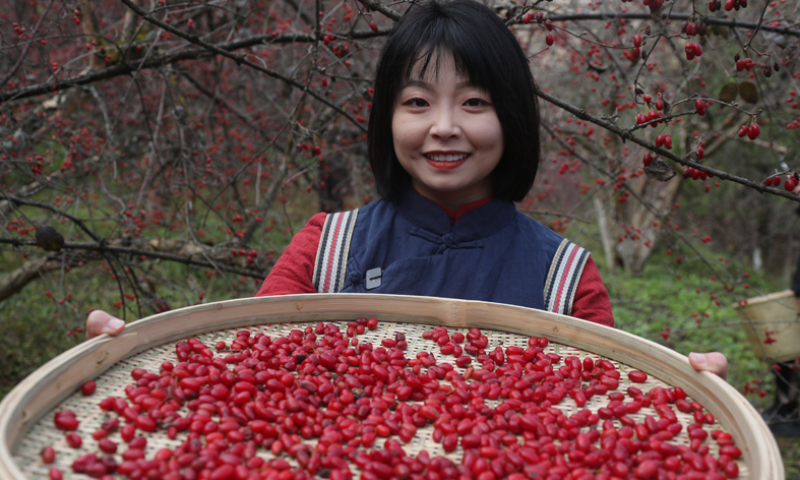 揭秘六味地黄丸中的“金牌守门员”