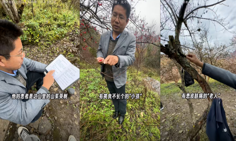 仲景宛西制药山茱萸药材基地人物纪实——山的儿女，树的医生