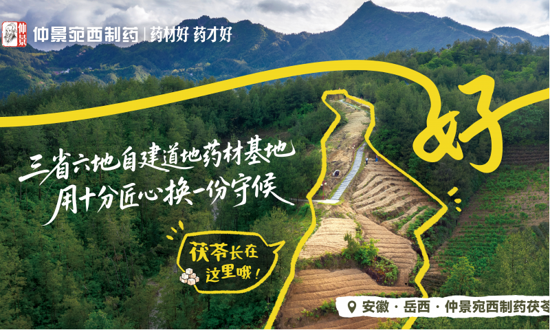 春末夏初湿气重，养心健脾选仲景归脾丸