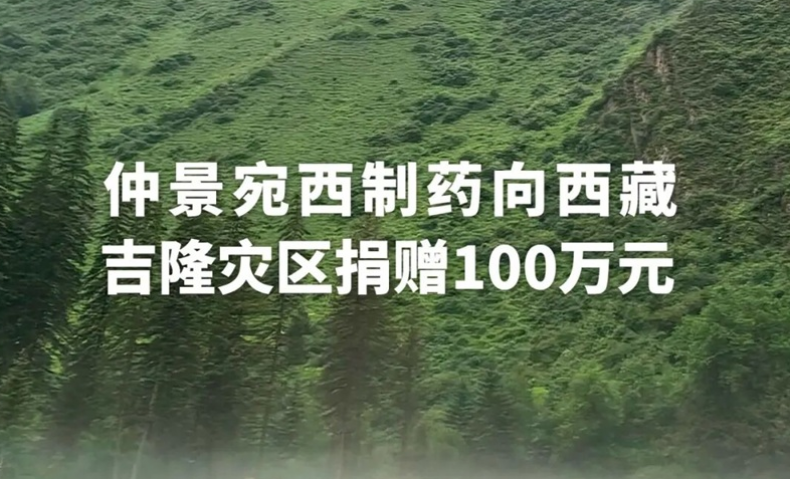 仲景宛西制药向西藏吉隆灾区捐赠100万元