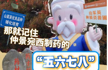 如果你不知道啥是GAP，那就记住仲景宛西制药的“5、6、7、8”