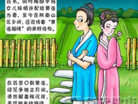 黄连的传说