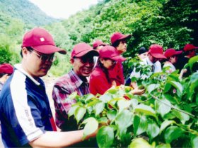 诚信：宛药品牌之根