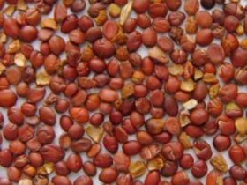 最适合现代白领的健脑安神大法