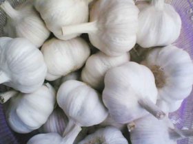 专家：经常吃大蒜 可远离流感