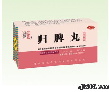 仲景归脾丸