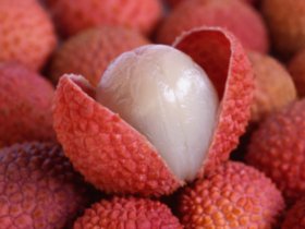 五种食物不宜放冰箱