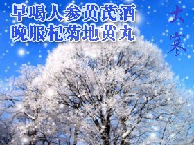 早喝人参黄芪酒　晚服杞菊地黄丸