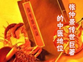 张仲景传世巨著《伤寒杂病论》地位