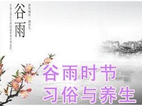 谷雨时节的习俗与养生