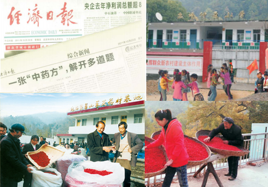 一张“中药方”，解开多道题