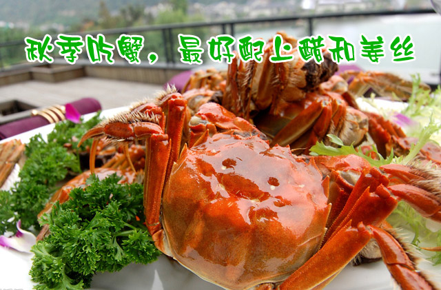 秋季吃蟹最好搭配醋和姜丝